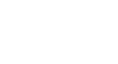 Lucy Foster Aesthetics Logo